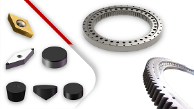 Slewing Bearing Special Inserts