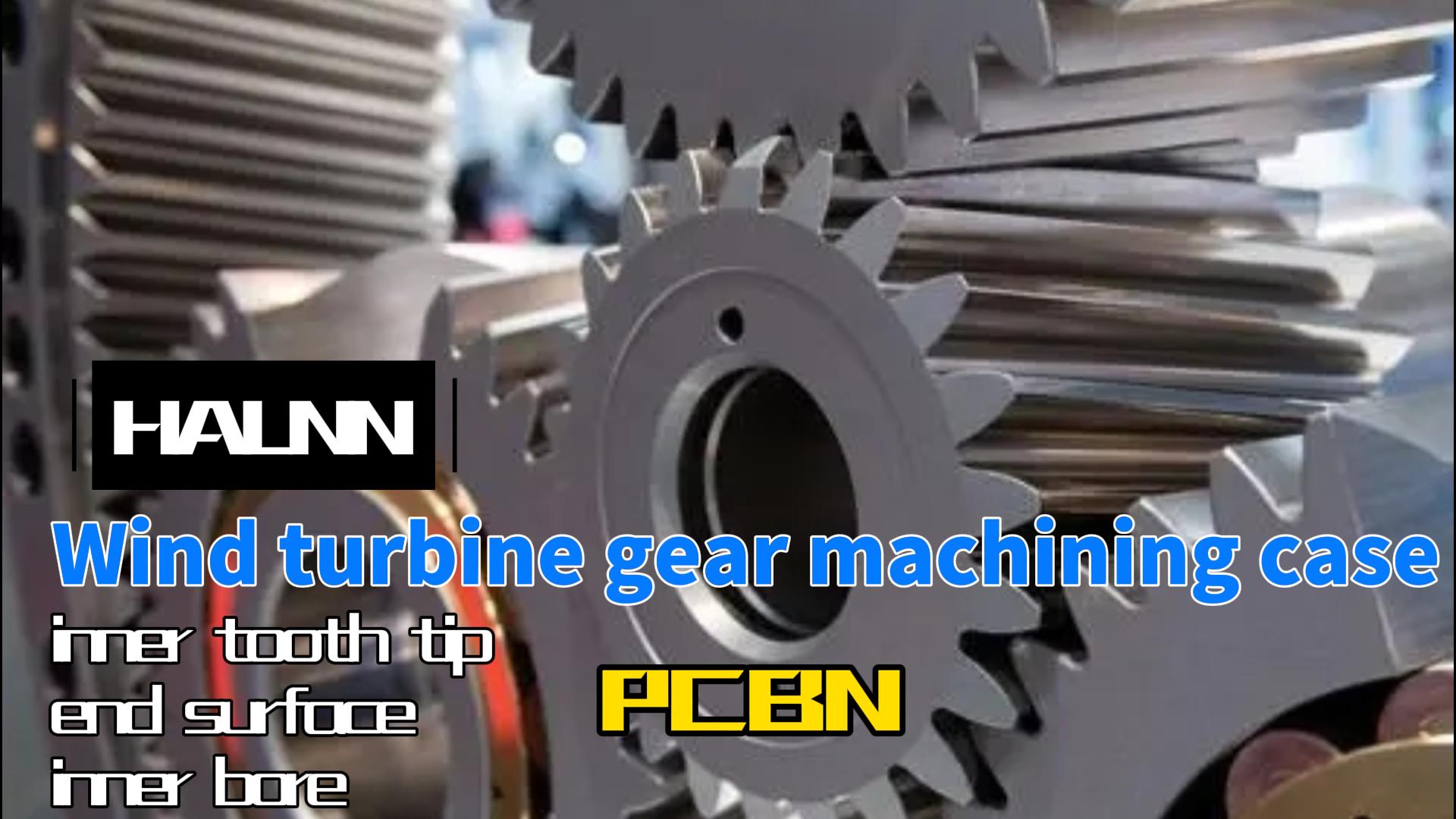 Wind turbine gear processing case